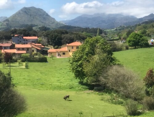 Northern Spain 2025 Post 4